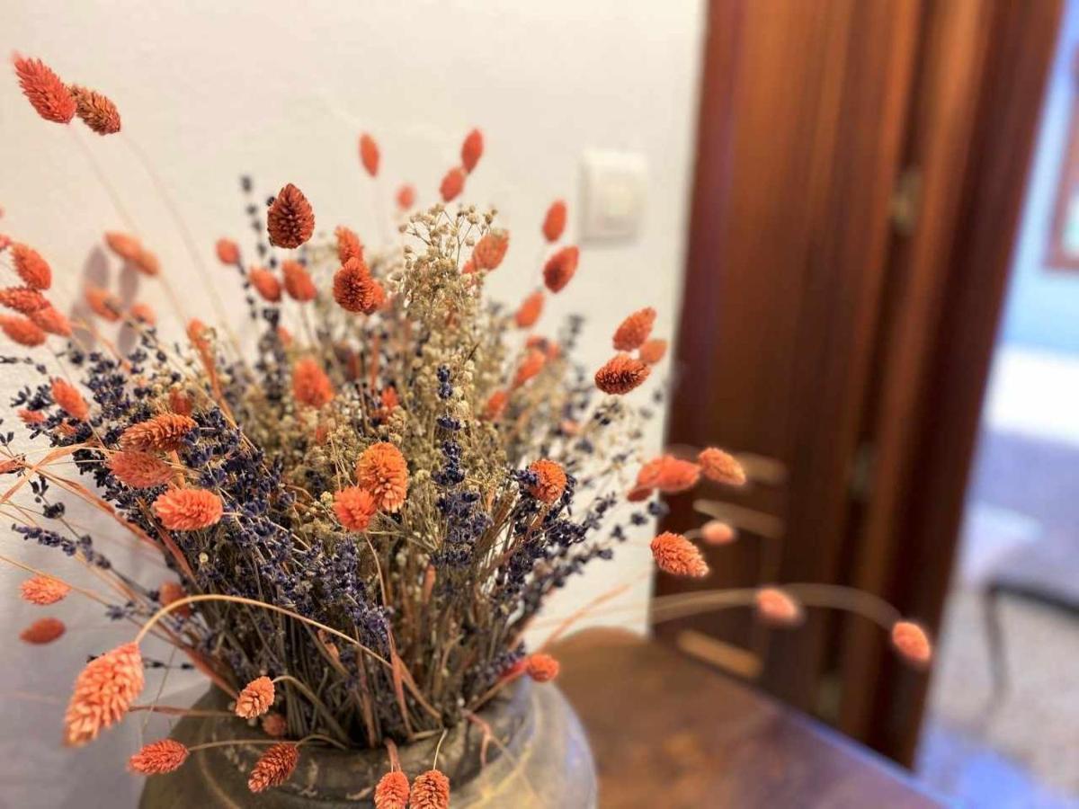 Casa Maribel Onís エクステリア 写真